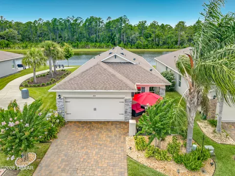 204 Caryota Ct, New Smyrna Beach, FL 32168
