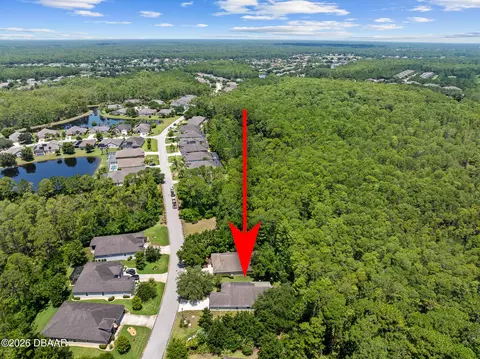 View/Area - 684 Aldenham Ln, Ormond Beach, FL 32174 photo 5 of 7
