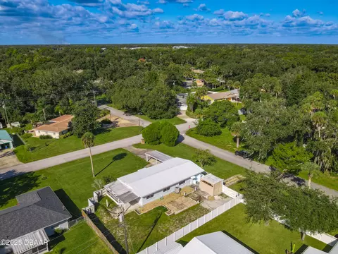 View/Area - 1401 Orange Tree Dr, Edgewater, FL 32132 photo 4 of 7