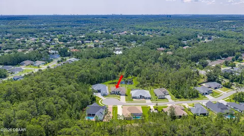 View/Area - 14 Deerfield Ct, Ormond Beach, FL 32174 photo 4 of 7