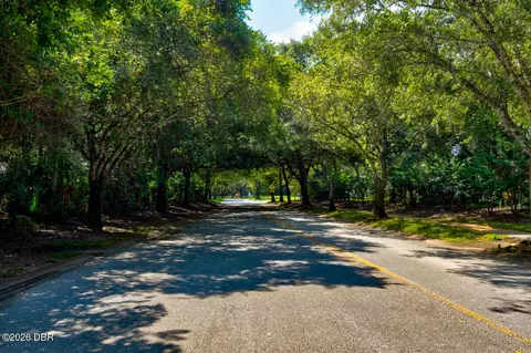 1321 Wicklow Ln, Ormond Beach, FL 32174 photo 60