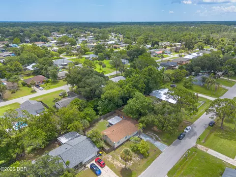 View/Area - 3223 Umbrella Tree Dr, Edgewater, FL 32141 photo 4 of 4