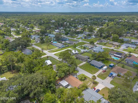View/Area - 3223 Umbrella Tree Dr, Edgewater, FL 32141 photo 3 of 4