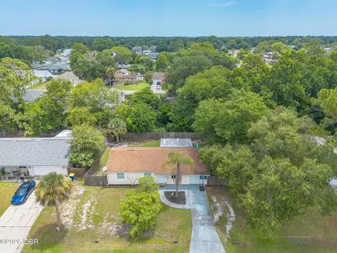View/Area - 3223 Umbrella Tree Dr, Edgewater, FL 32141 photo 2 of 4