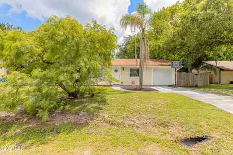 Other - 3223 Umbrella Tree Dr, Edgewater, FL 32141 photo 2 of 7