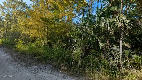 0 Citrus Dr, Edgewater, FL 32141 photo 2
