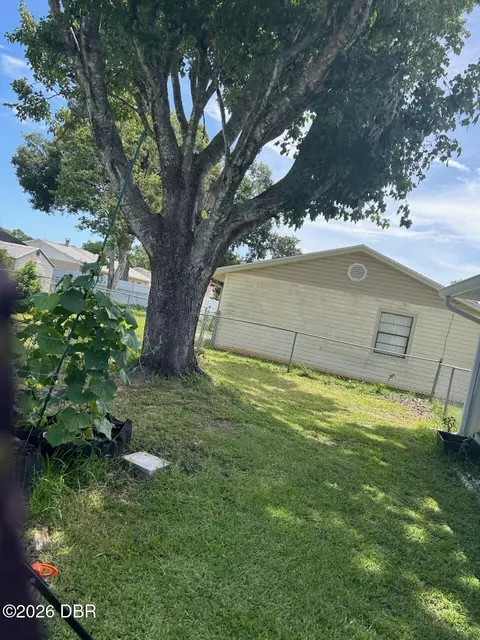 209 Lone Pine Dr, Edgewater, FL 32132 photo 4