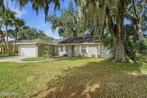 3128 Mango Tree Dr, Edgewater, FL 32141 photo 31