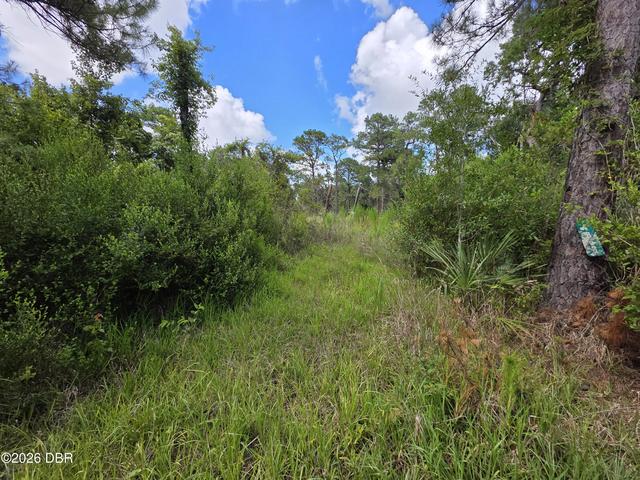 4863 Meadow Green Rd, Mims, FL 32754