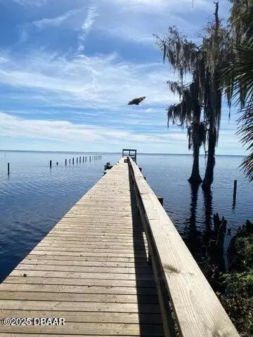 253 Georgetown Denver Rd, Georgetown, FL 32139 photo 2