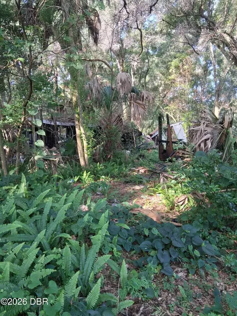 481 Shell Harbor Rd, Pierson, FL 32180 photo 14