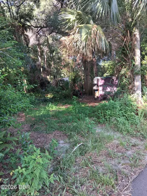 481 Shell Harbor Rd, Pierson, FL 32180 photo 13