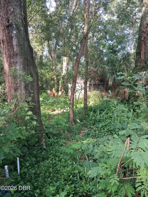 481 Shell Harbor Rd, Pierson, FL 32180 photo 12
