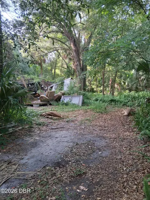 481 Shell Harbor Rd, Pierson, FL 32180 photo 6