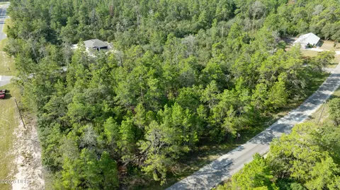 26 Fisher Trail Ter, Ocklawaha, FL 32179