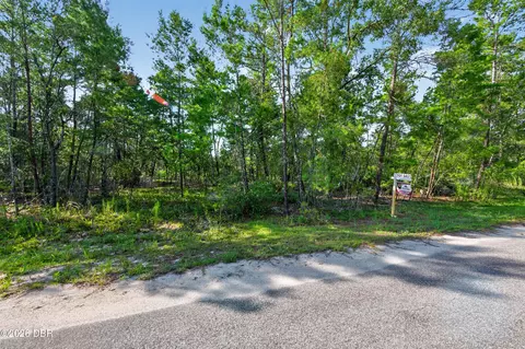 3 Guava Pass, Ocklawaha, FL 32179