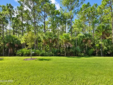 Exterior - 817 Pinewood Dr, Ormond Beach, FL 32174 photo 4 of 5