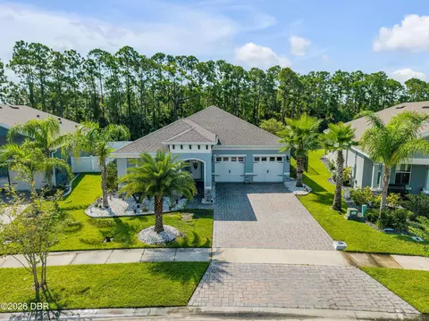 3027 Borassus Dr, New Smyrna Beach, FL 32168
