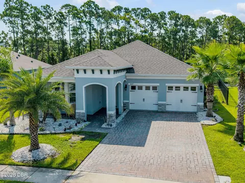 3027 Borassus Dr, New Smyrna Beach, FL 32168