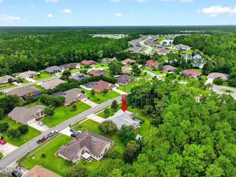 View/Area - 45 Hunt Master Ct, Ormond Beach, FL 32174 photo 6 of 6