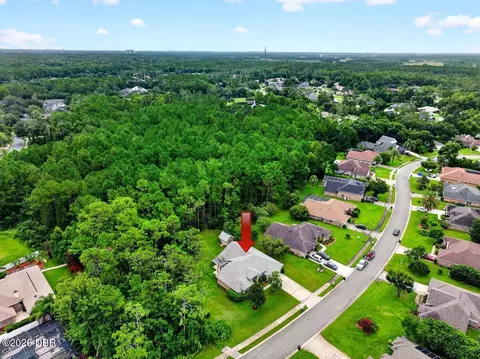 View/Area - 45 Hunt Master Ct, Ormond Beach, FL 32174 photo 5 of 6