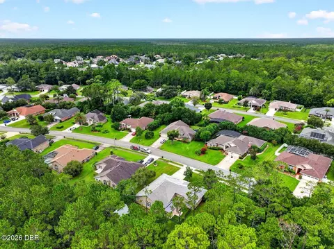 View/Area - 45 Hunt Master Ct, Ormond Beach, FL 32174 photo 4 of 6