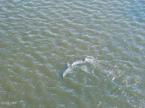 View/Area - 94 N Beach St, Ormond Beach, FL 32174 photo 8 of 9