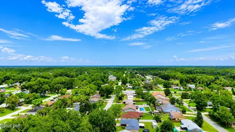 View/Area - 3047 Yule Tree Dr, Edgewater, FL 32141 photo 2 of 4