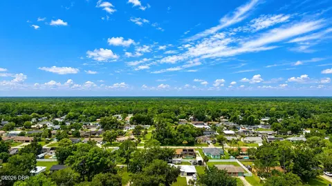 View/Area - 3047 Yule Tree Dr, Edgewater, FL 32141 photo 3 of 4