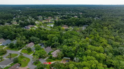 View/Area - 12 Meadow Ridge Vw, Ormond Beach, FL 32174 photo 7 of 9