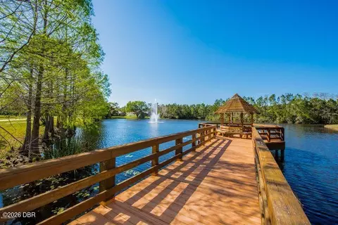 View/Area - 12 Meadow Ridge Vw, Ormond Beach, FL 32174 photo 9 of 9