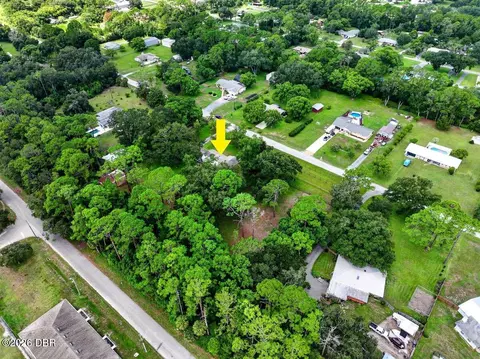View/Area - 779 Timothy St, Ormond Beach, FL 32174 photo 5 of 6