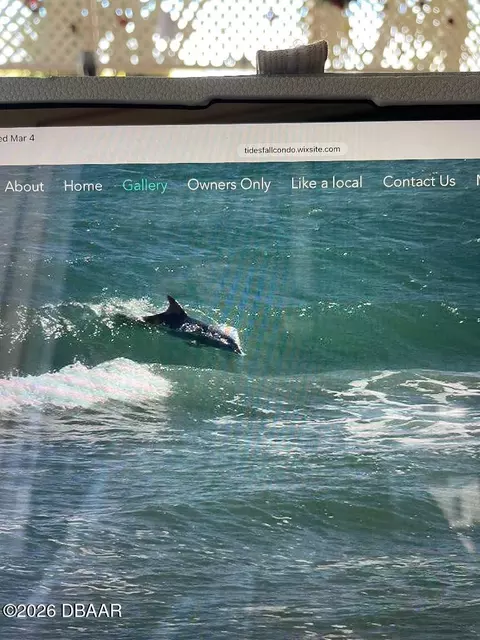 Other - 395 S Atlantic Ave, Ormond Beach, FL 32176 photo 9 of 12