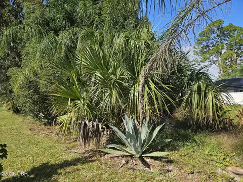 0 Pine Tree Dr, Edgewater, FL 32141 photo 6