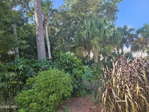 0 Pine Tree Dr, Edgewater, FL 32141 photo 7