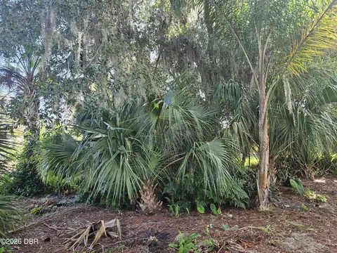 0 Pine Tree Dr, Edgewater, FL 32141 photo 10