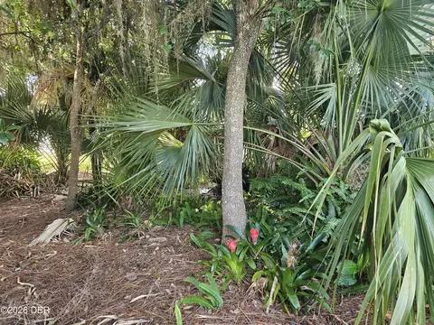 0 Pine Tree Dr, Edgewater, FL 32141 photo 8
