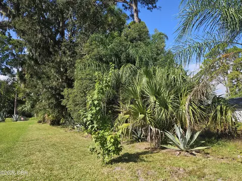 0 Pine Tree Dr, Edgewater, FL 32141 photo 5