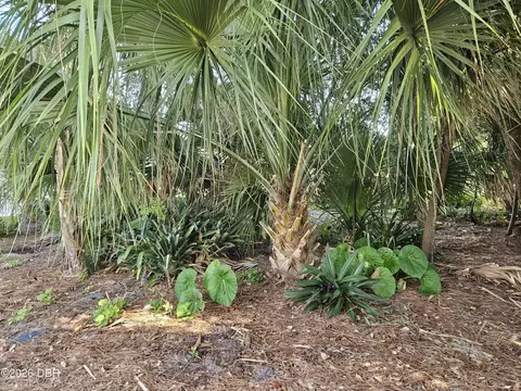 0 Pine Tree Dr, Edgewater, FL 32141 photo 9