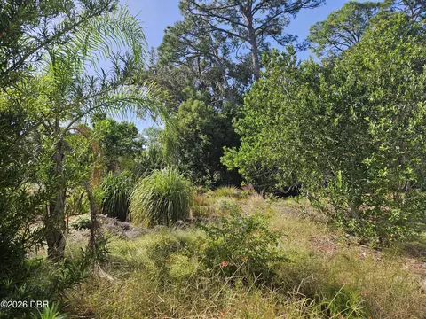 0 Pine Tree Dr, Edgewater, FL 32141 photo 2