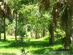 125 Fairview Ave, Ormond Beach, FL 32174 photo 7