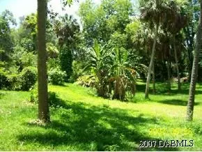 125 Fairview Ave, Ormond Beach, FL 32174 photo 6