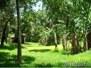125 Fairview Ave, Ormond Beach, FL 32174 photo 2