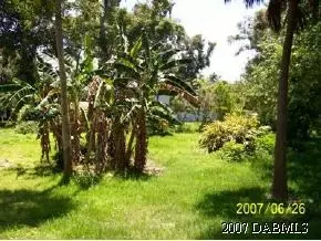 125 Fairview Ave, Ormond Beach, FL 32174 photo 4