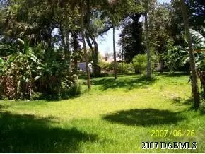 125 Fairview Ave, Ormond Beach, FL 32174 photo 3