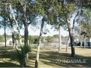 216 Timberline Trl, Ormond Beach, FL 32174 photo 8