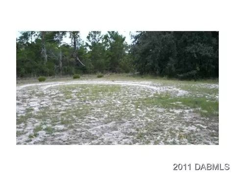 3323 Volco Rd, Edgewater, FL 32141 photo 5