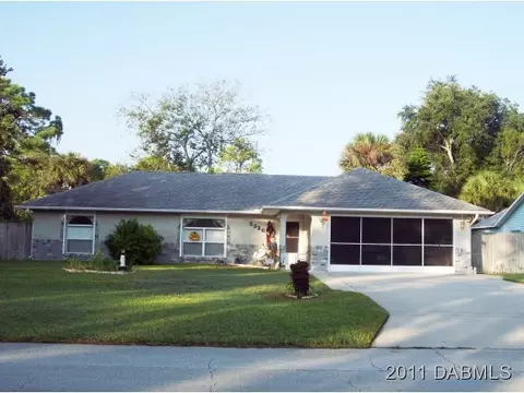 3326 Umbrella Tree Dr, Edgewater, FL 32141 photo 1