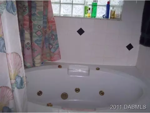 3326 Umbrella Tree Dr, Edgewater, FL 32141 photo 9