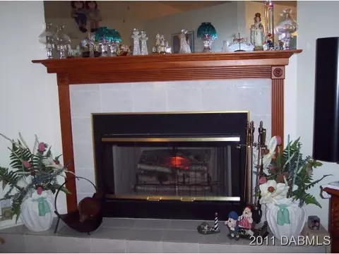3326 Umbrella Tree Dr, Edgewater, FL 32141 photo 7